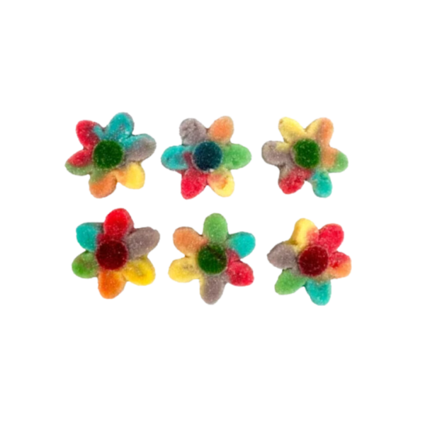 Multicolor Flowers